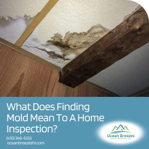What Does Finding Mold Mean To A Home Inspection?